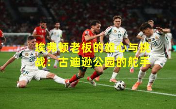 埃弗顿老板的雄心与挑战：古迪逊公园的舵手