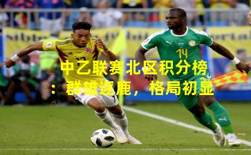 中乙联赛北区积分榜：群雄逐鹿，格局初显