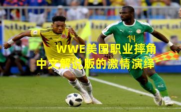 WWE美国职业摔角中文解说版的激情演绎