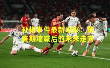 孙杨事件最新进展：禁赛期缩减后的未来走向