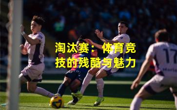 淘汰赛：体育竞技的残酷与魅力