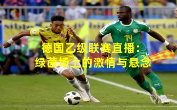 德国乙级联赛直播：绿茵场上的激情与悬念