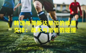 韩国与哥斯达黎加的绿茵交锋：战术与激情的碰撞