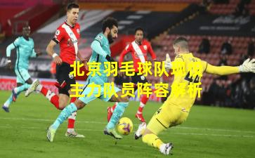 北京羽毛球队现役主力队员阵容解析