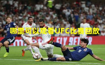 哪里可以观看UFC比赛回放