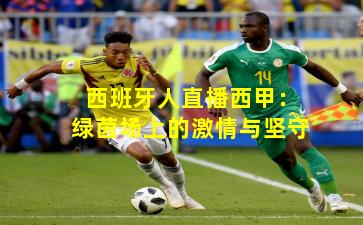 西班牙人直播西甲：绿茵场上的激情与坚守