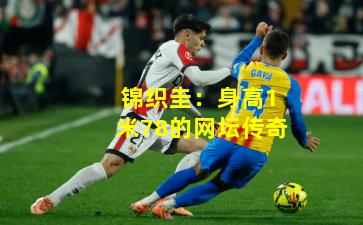 锦织圭:身高1米78的网坛传奇